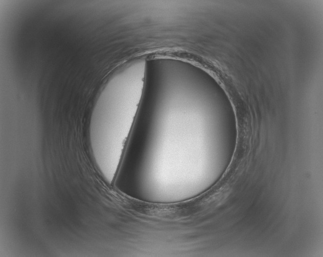X0000074971257200609011007