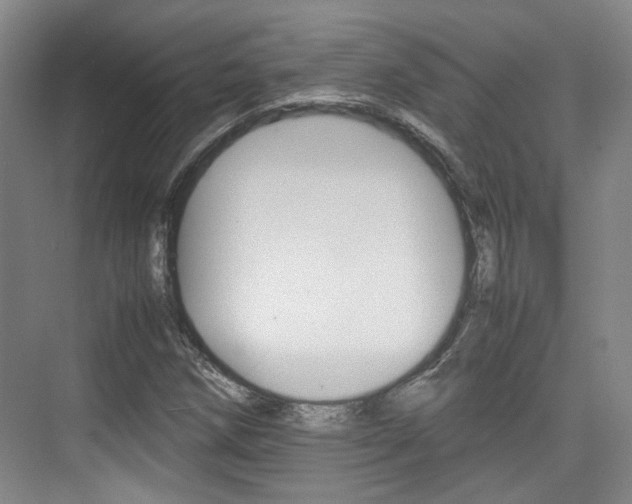 X0000074971258200609011007