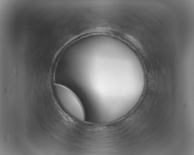 X0000074971260200609011007