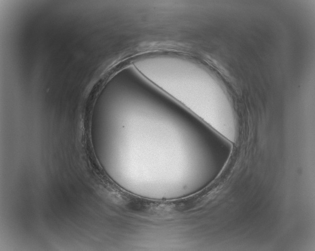 X0000074971261200609011007