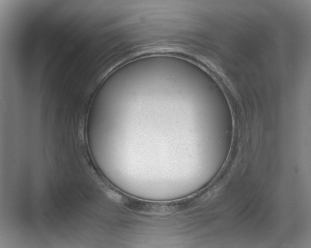 X0000074971273200609011007