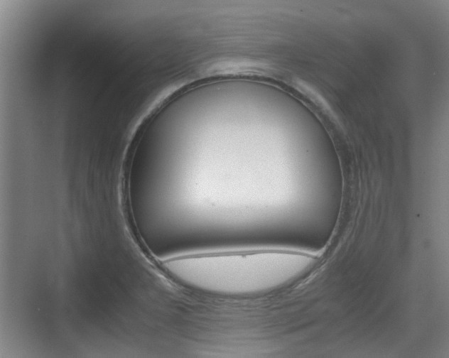 X0000074971277200609011007