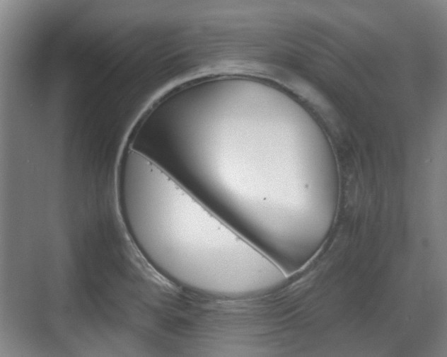 X0000074971280200609011007
