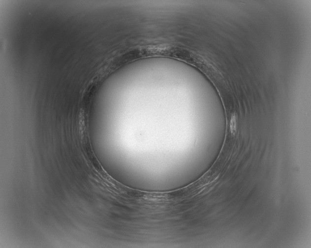 X0000074971299200609011006