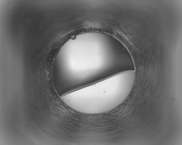 X0000074971303200609011006