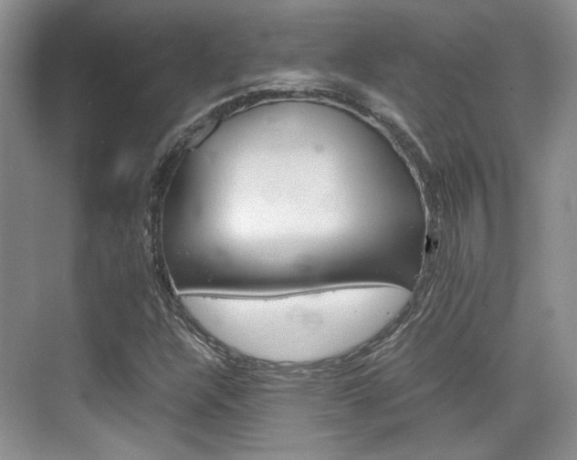 X0000074971304200609011006