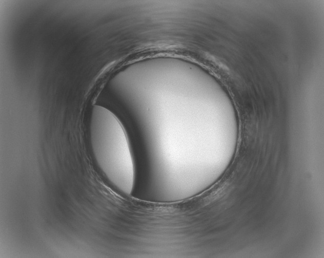X0000074971306200609011006