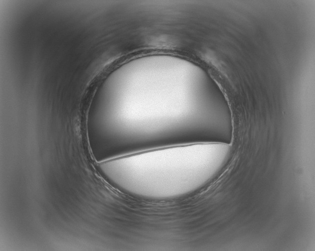 X0000074971307200609011006