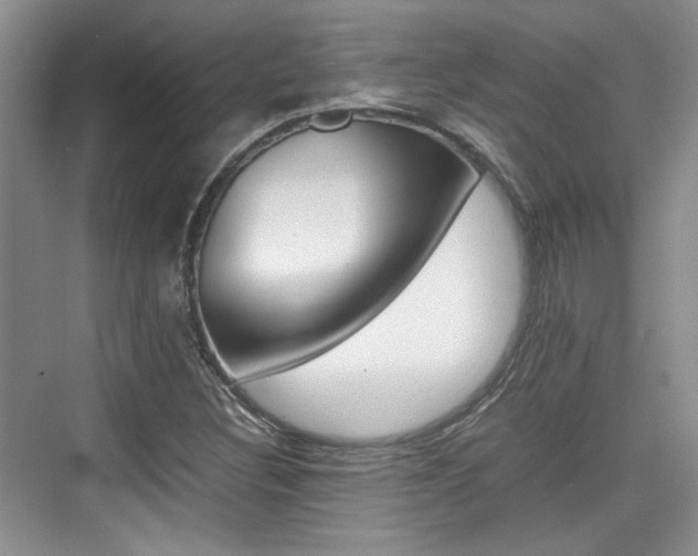 X0000074971308200609011006