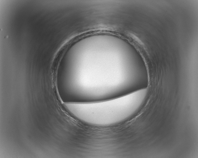 X0000074971310200609011006