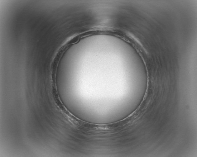 X0000074971315200609011006