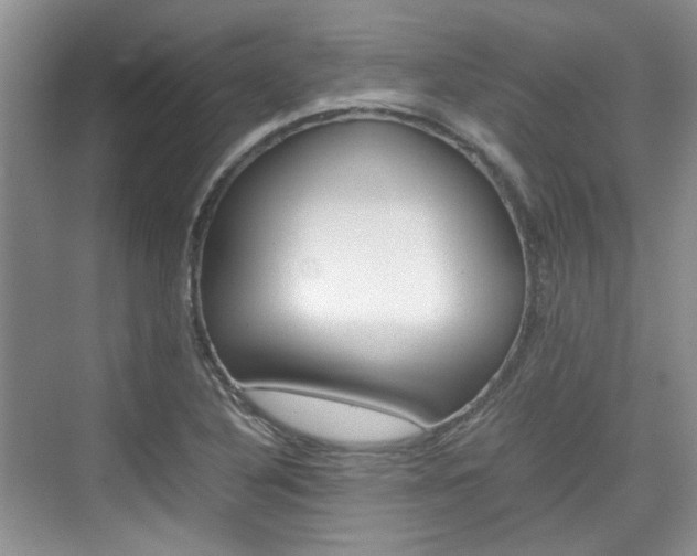 X0000074971316200609011006