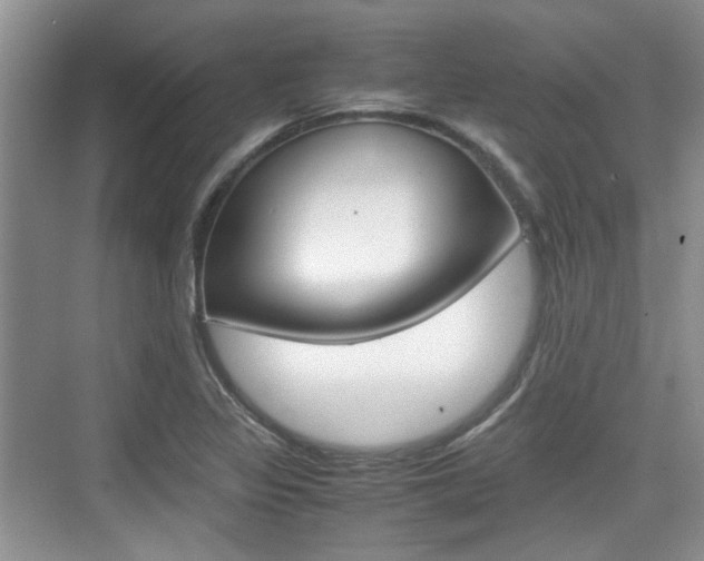 X0000074971317200609011006