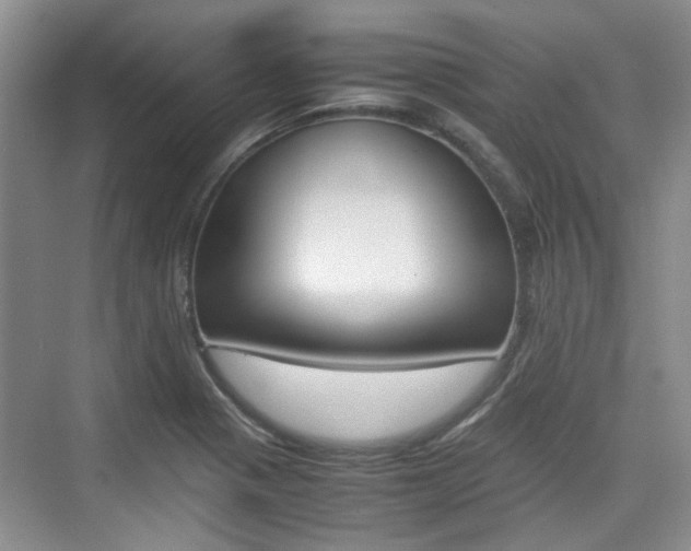 X0000074971321200609011006