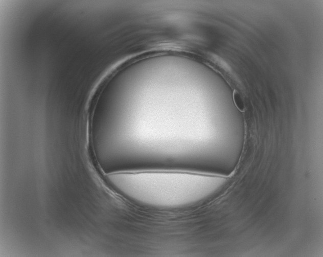 X0000074971323200609011006
