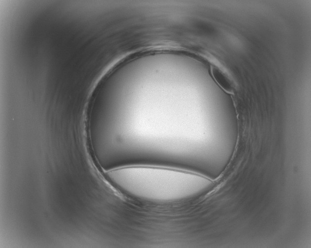 X0000074971325200609011006