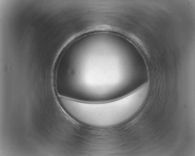 X0000074971326200609011006