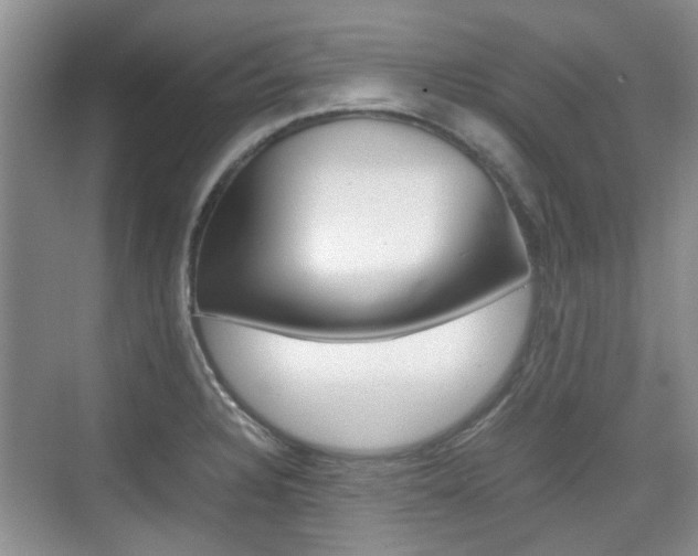 X0000074971328200609011006