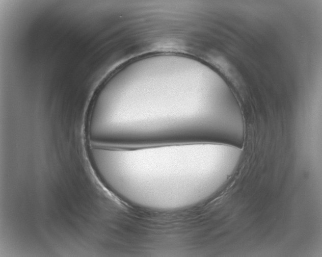 X0000074971331200609011006