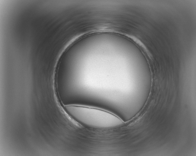 X0000074971333200609011006