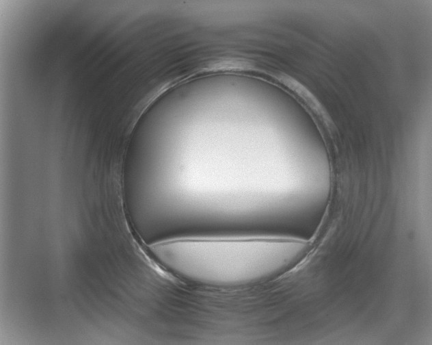 X0000074971337200609011006
