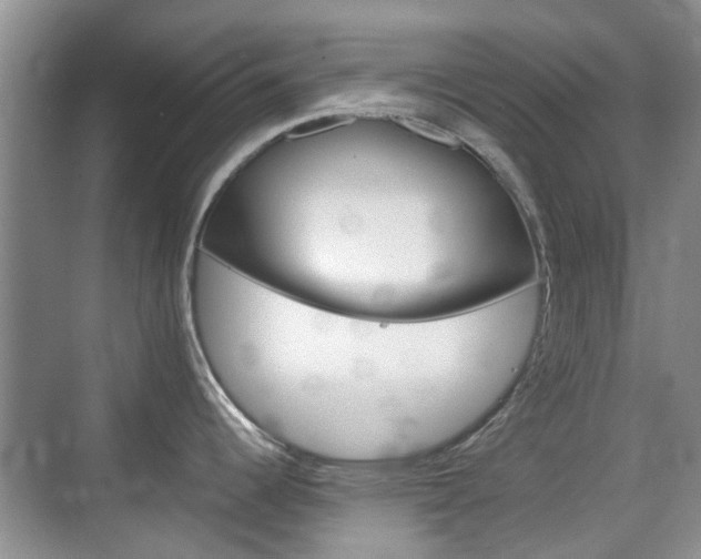 X0000074971344200609011006