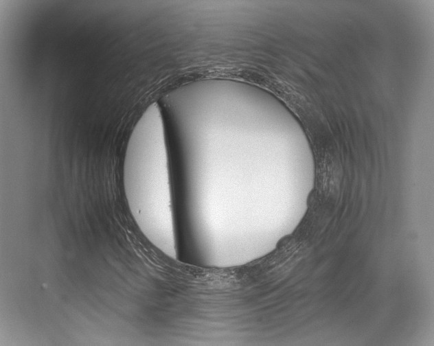 X0000074971346200609011006