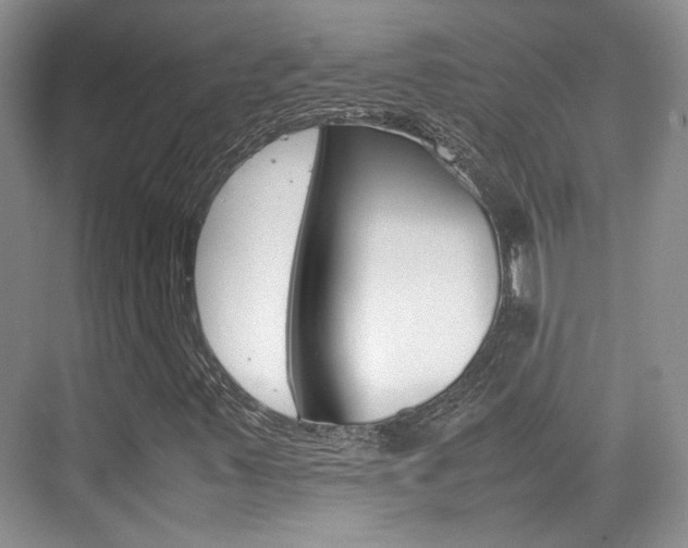 X0000074971347200609011006