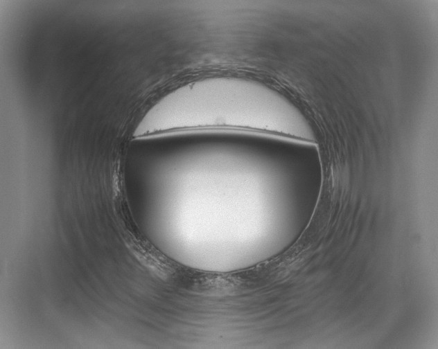 X0000074971348200609011006
