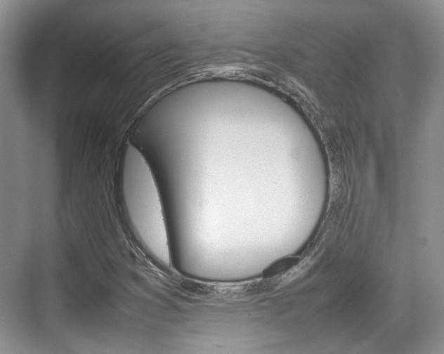 X0000074971353200609011006