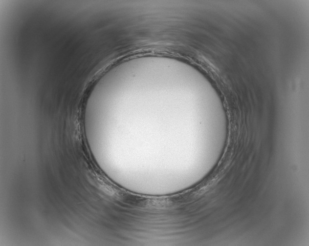 X0000074971354200609011006