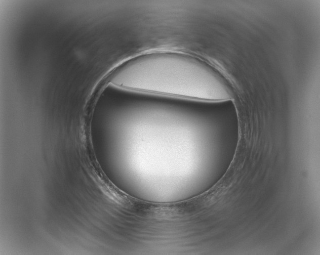 X0000074971356200609011006