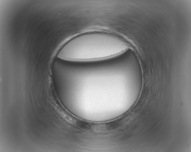X0000074971363200609011005