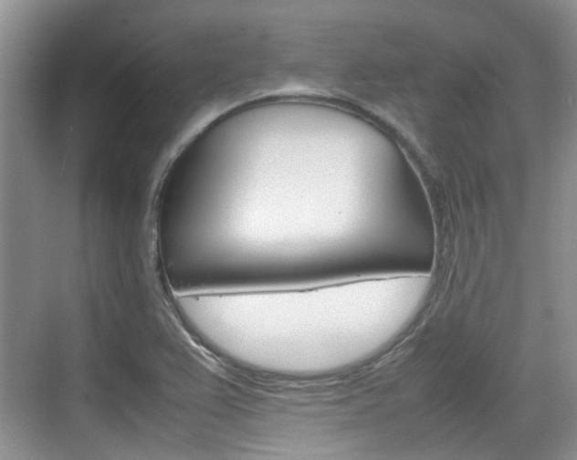 X0000074971367200609011005