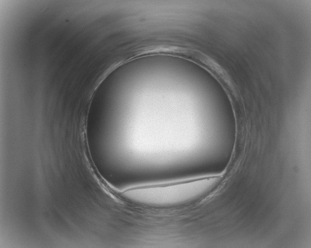 X0000074971377200609011005