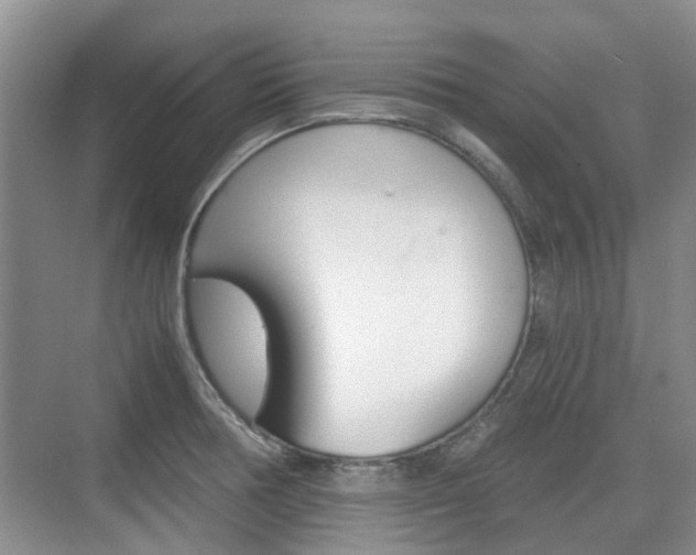 X0000074971378200609011005