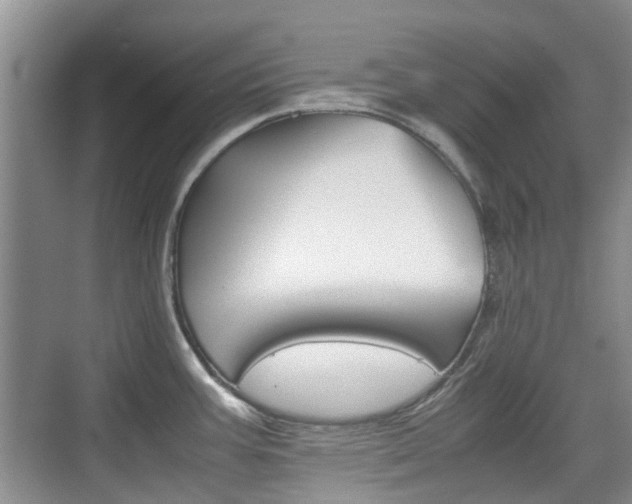X0000074971387200609011005
