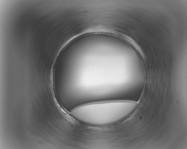 X0000074971388200609011005