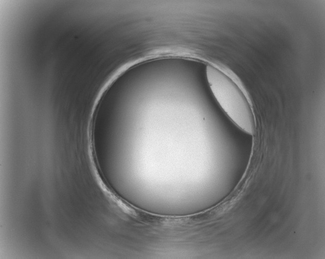 X0000074971389200609011005
