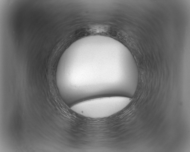 X0000074971393200609011004