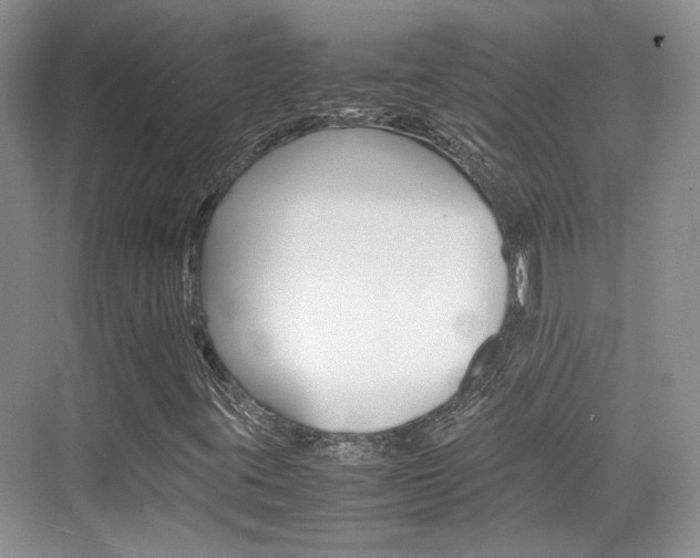 X0000074971395200609011004