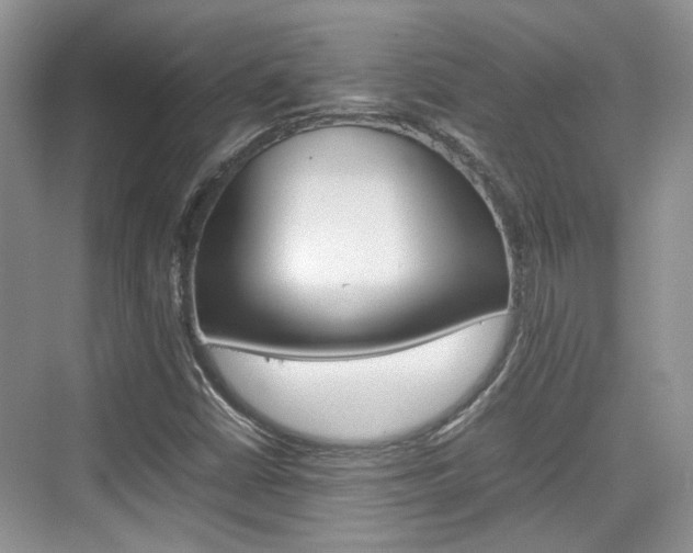 X0000074971402200609011004