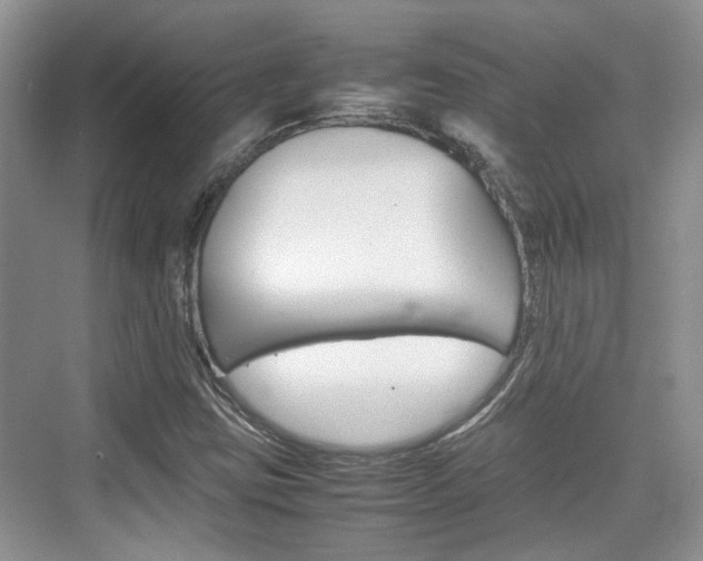 X0000074971403200609011004