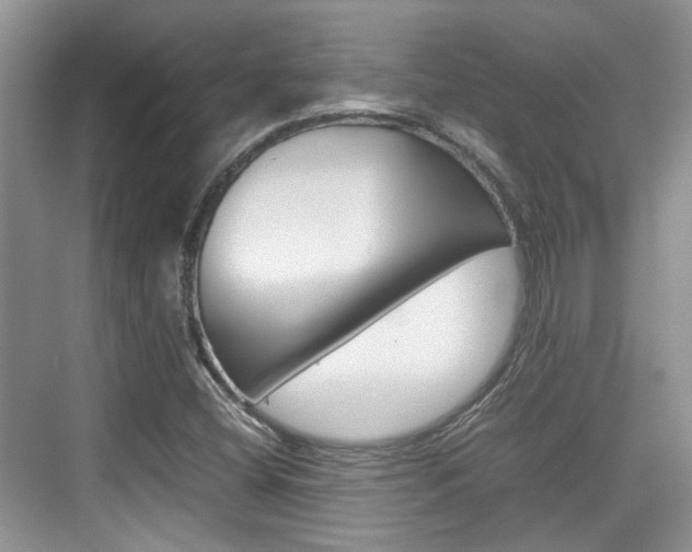 X0000074971404200609011004