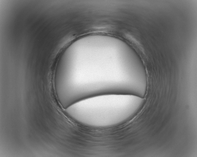 X0000074971411200609011004