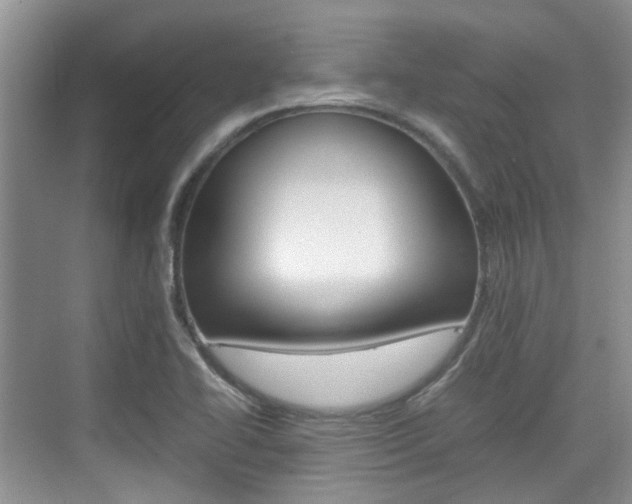 X0000074971414200609011004