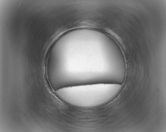 X0000074971415200609011004