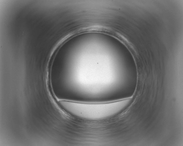 X0000074971418200609011005