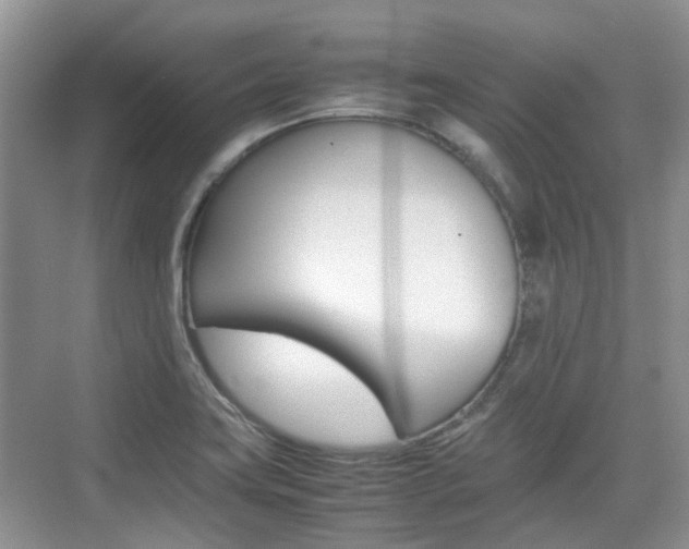 X0000074971419200609011005