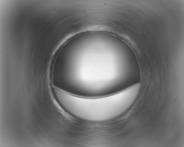 X0000074971422200609011005